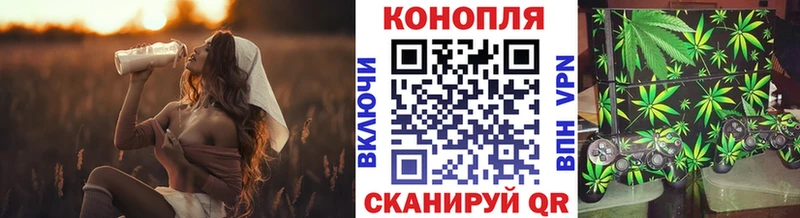 Купить закладку ТГК  Меф  COCAIN  Сусуман